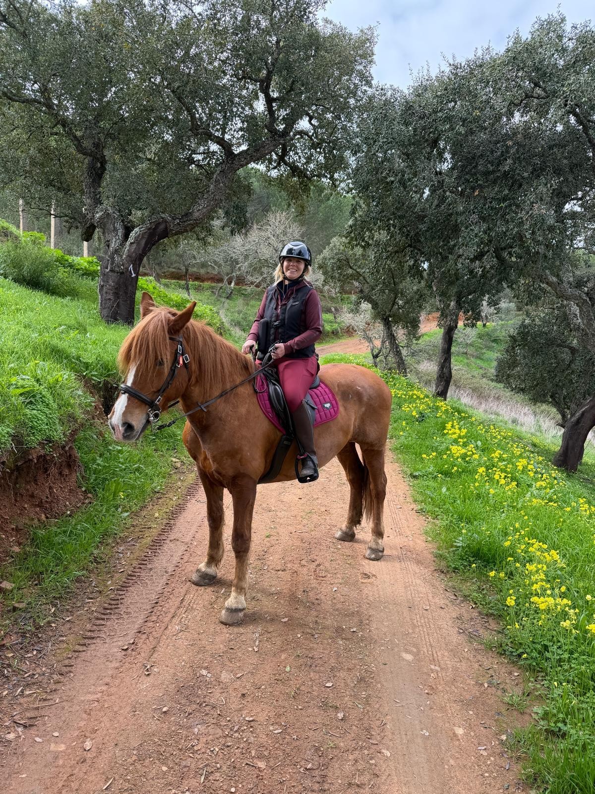 Countryside horse riding scene in the Algarve